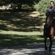 Image for article titled White Collar: "Burke's Seven"